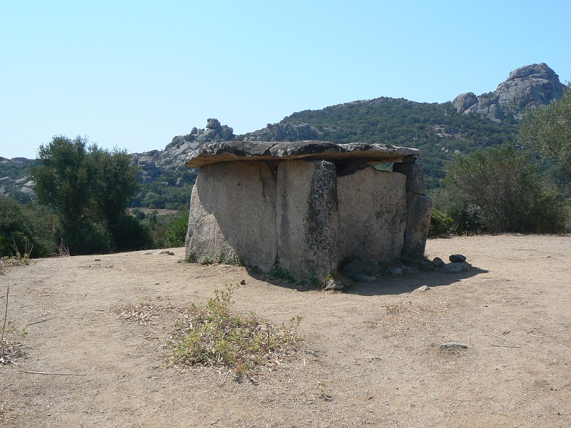 P1000630.jpg