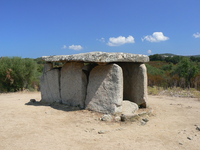 P1000632.jpg