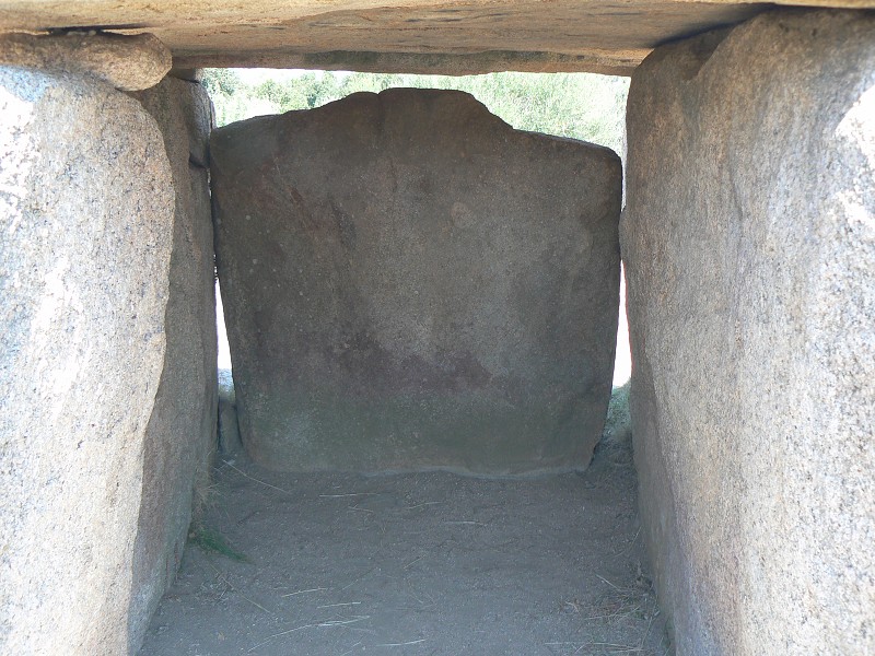 P1000634.jpg