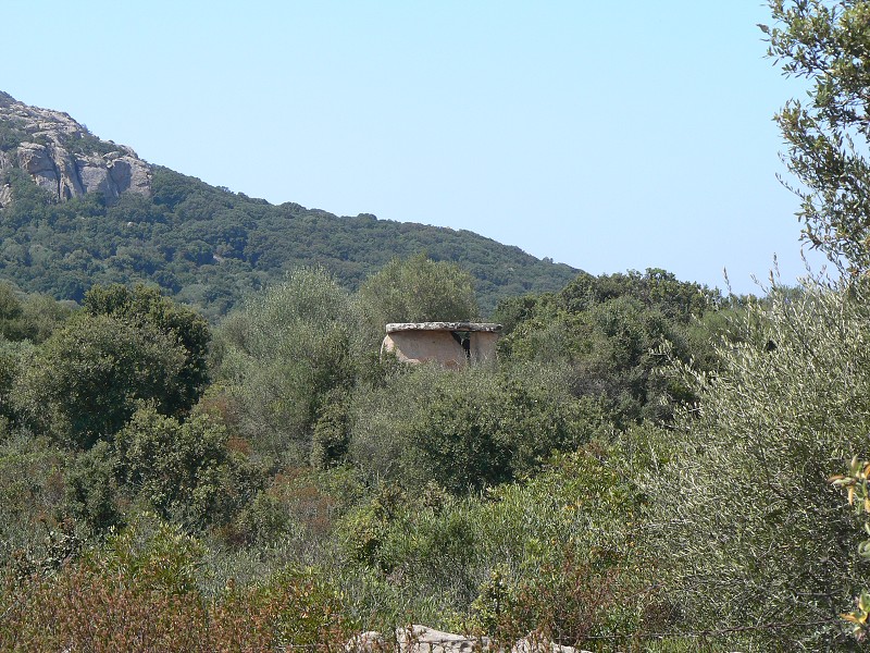 P1000636.jpg