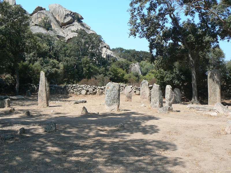 P1000638.jpg