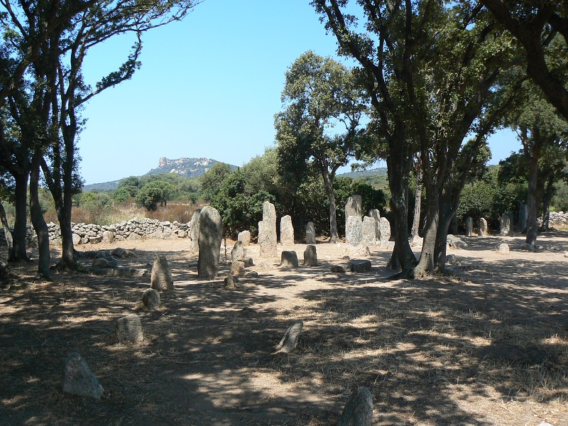 P1000639.jpg