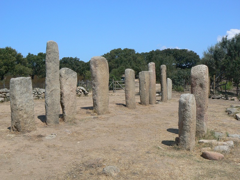P1000640.jpg