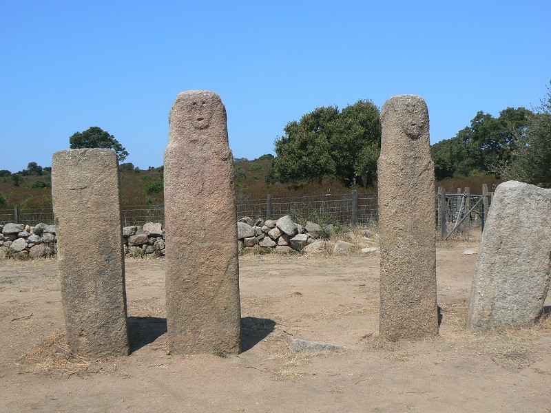 P1000641.jpg