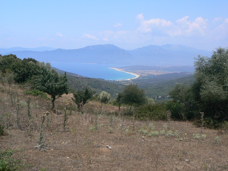 P1000644.jpg
