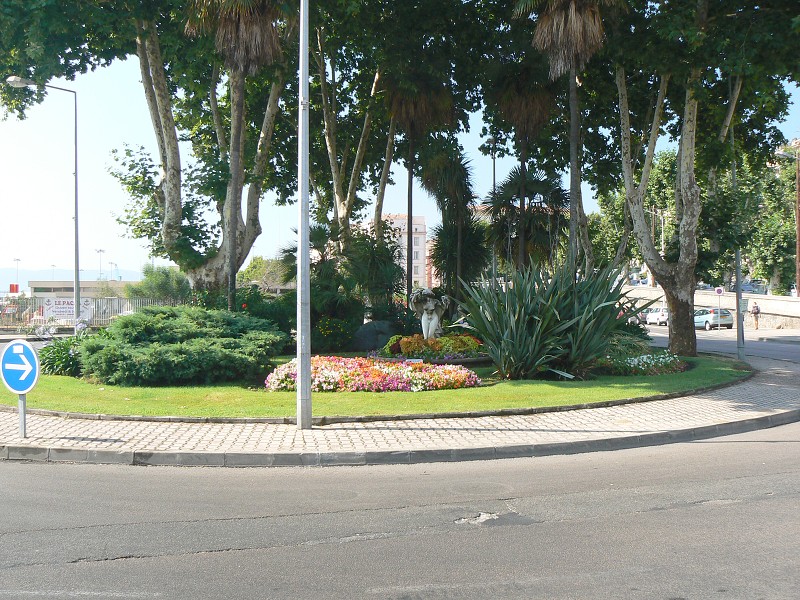 P1000659.jpg