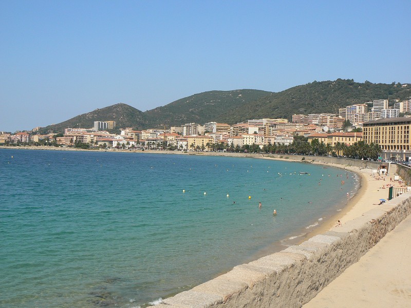 P1000665.jpg