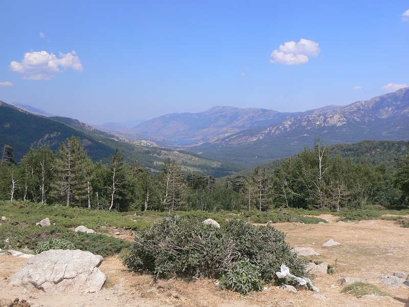 P1000676.jpg