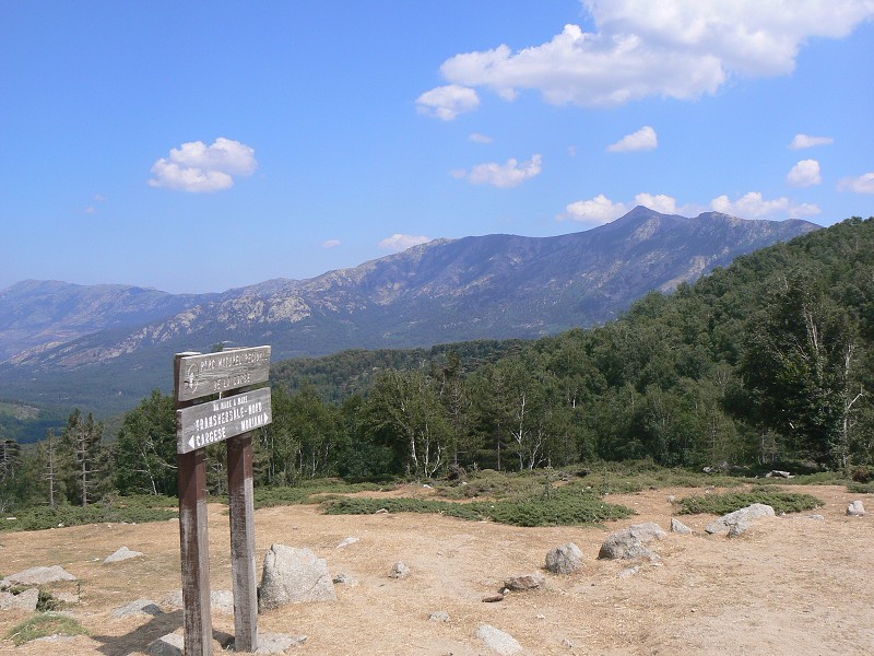 P1000677.jpg