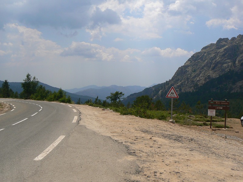 P1000680.jpg