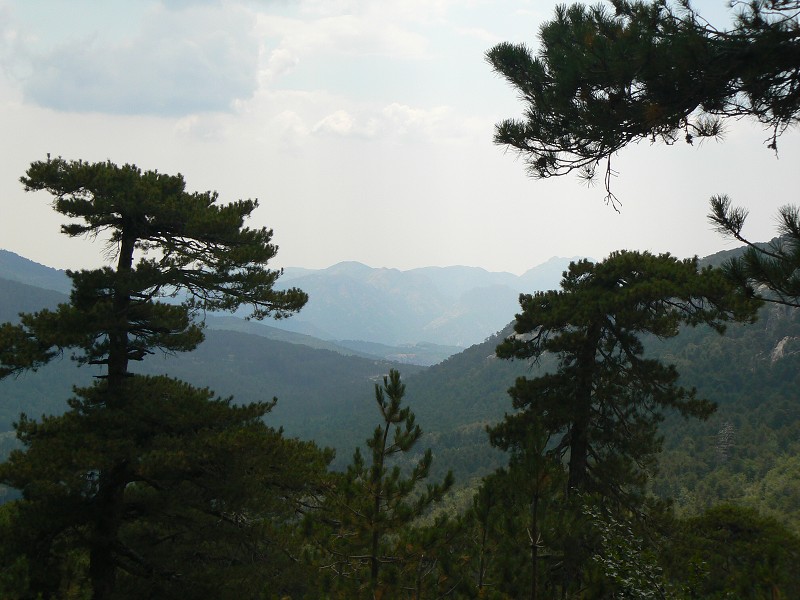 P1000683.jpg