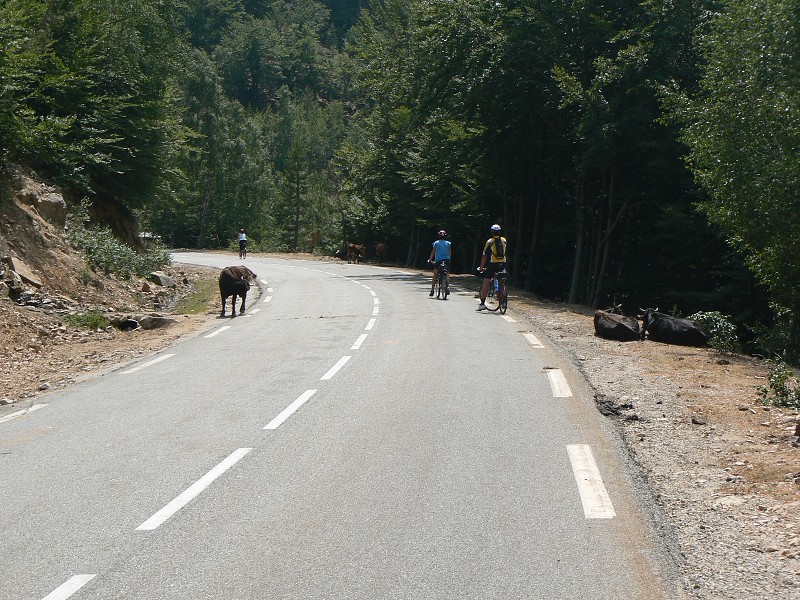 P1000685.jpg