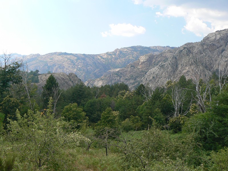 P1000693.jpg