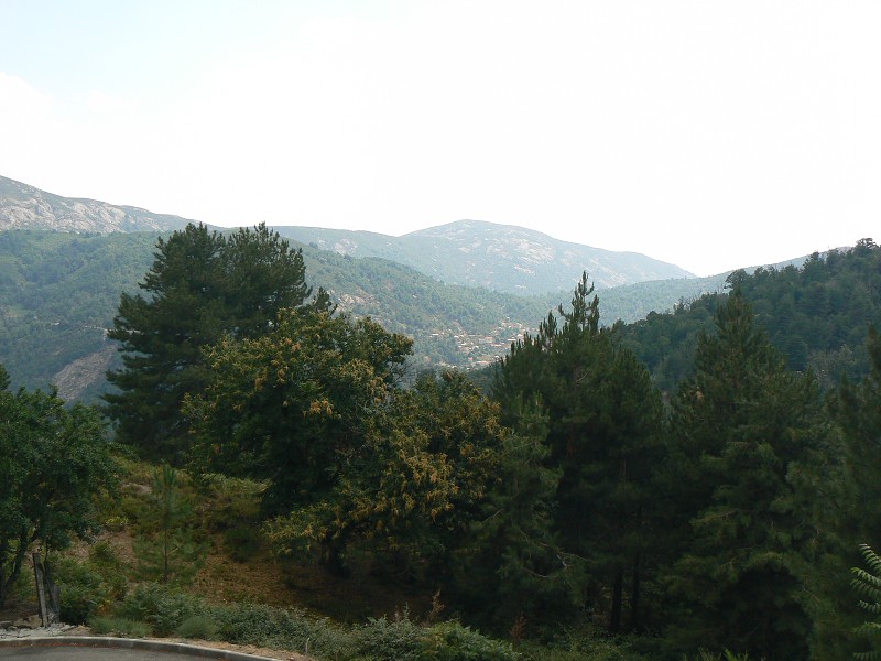 P1000694.jpg