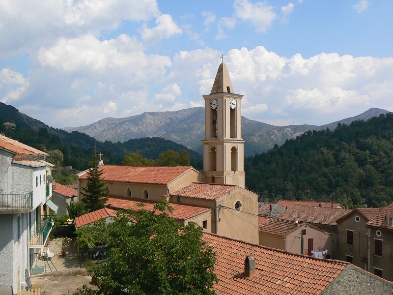 P1000699.jpg