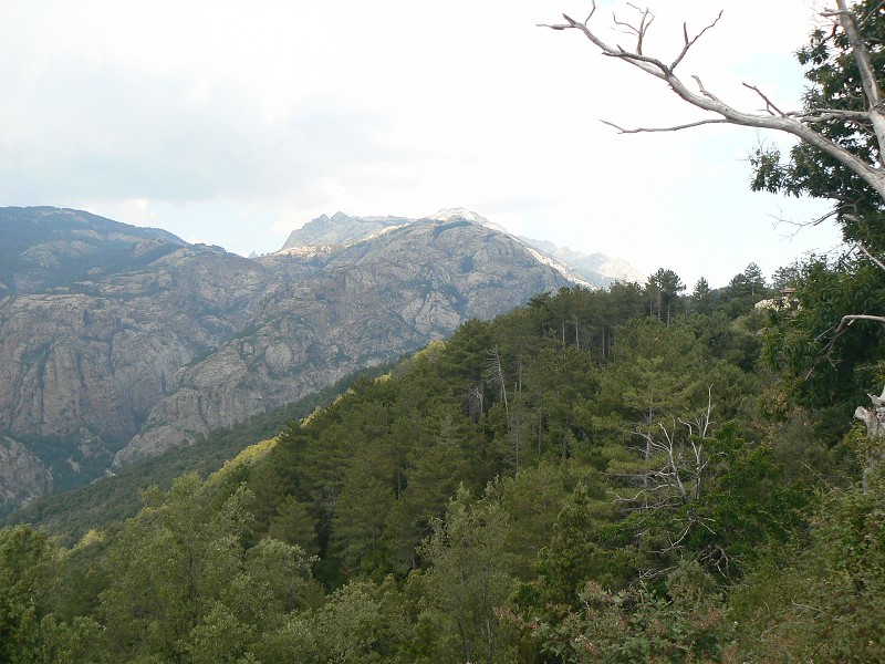 P1000701.jpg
