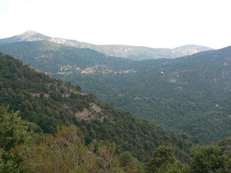 P1000702.jpg