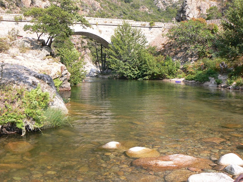 P1000711.jpg
