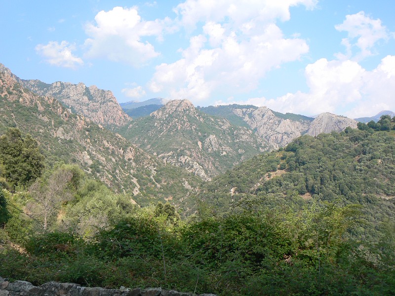 P1000713.jpg