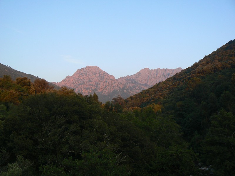 P1000718.jpg
