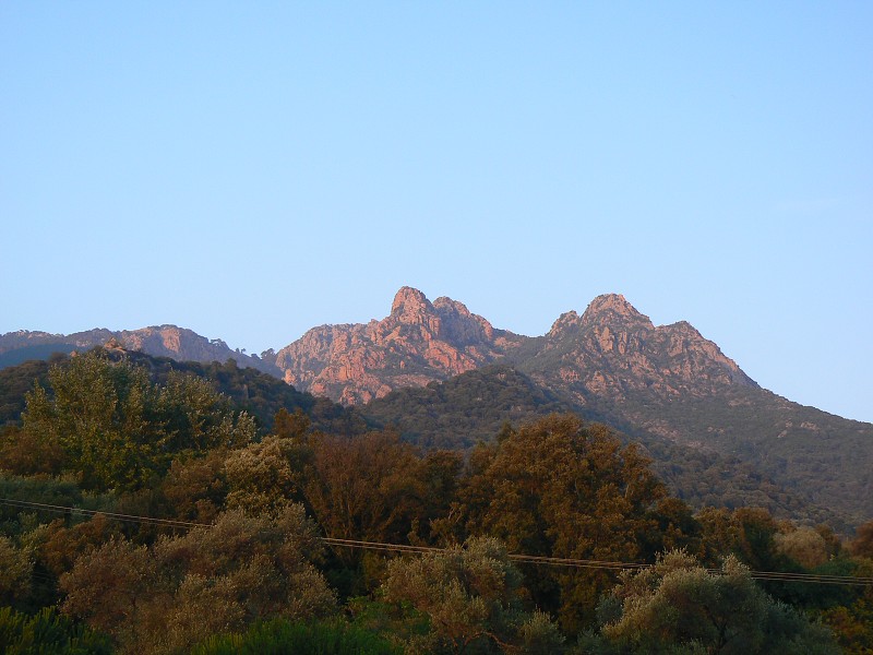 P1000720.jpg