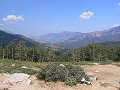 thn_P1000676.jpg