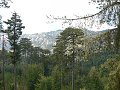 thn_P1000690.jpg