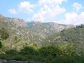 thn_P1000713.jpg