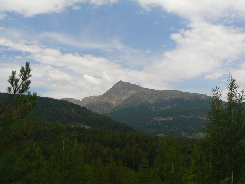 P1000726.jpg