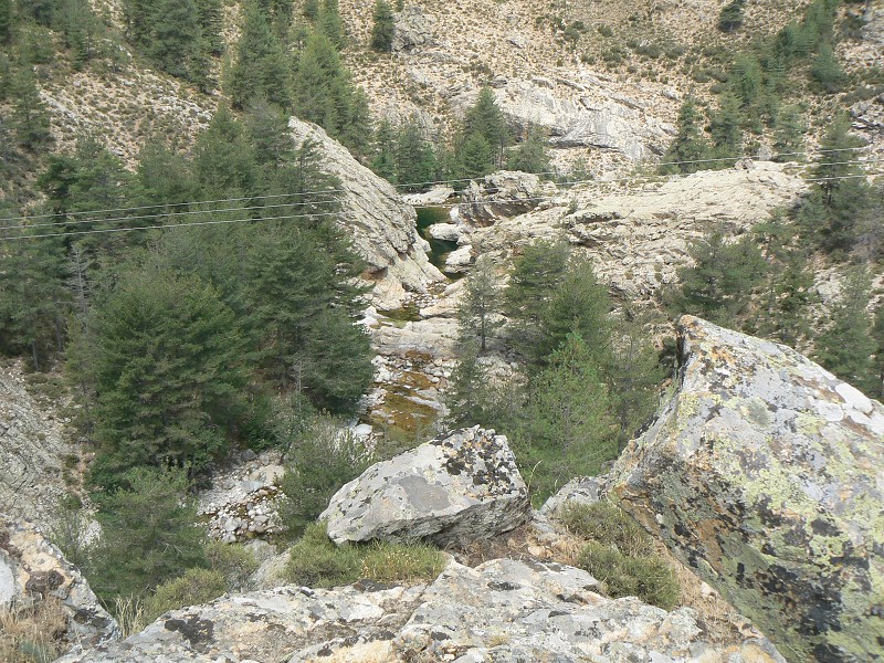 P1000727.jpg