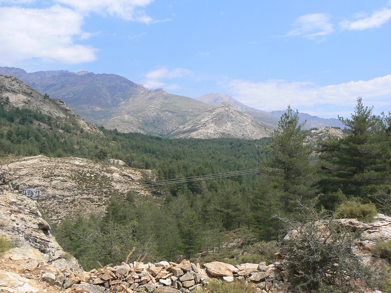 P1000728.jpg