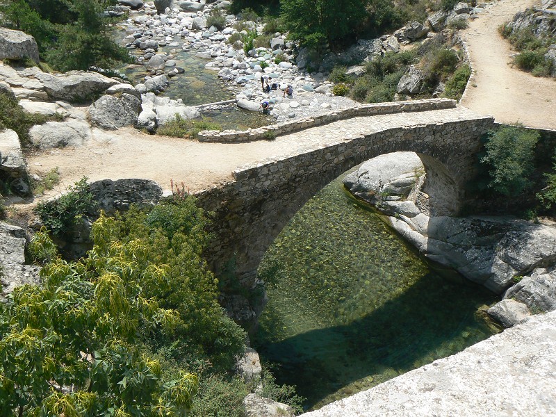 P1000733.jpg