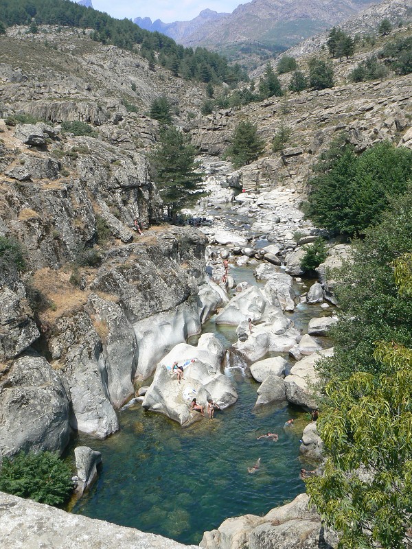 P1000734.jpg