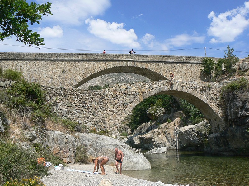 P1000735.jpg