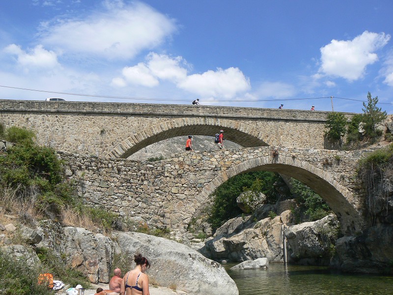 P1000736.jpg