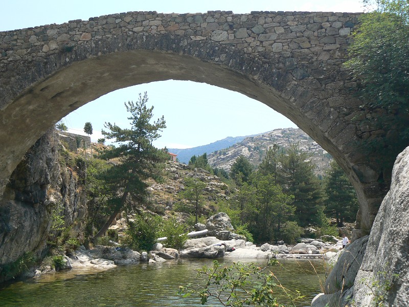 P1000739.jpg
