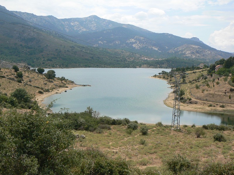 P1000742.jpg