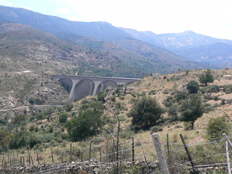 P1000743.jpg