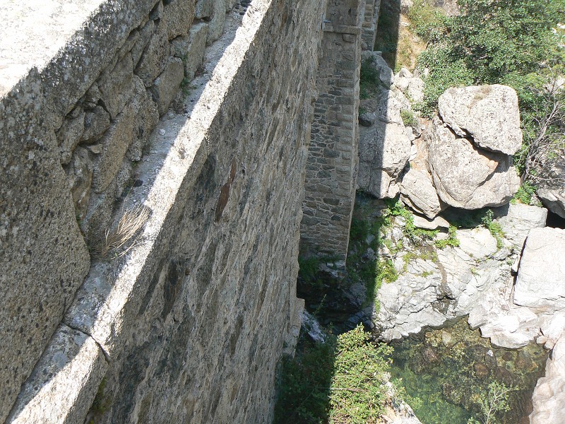 P1000752.jpg