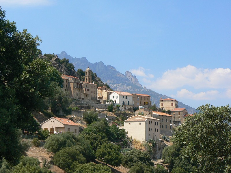 P1000754.jpg