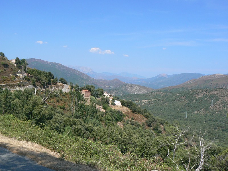 P1000755.jpg