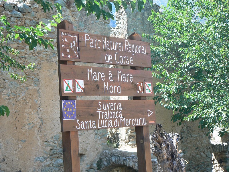 P1000756.jpg
