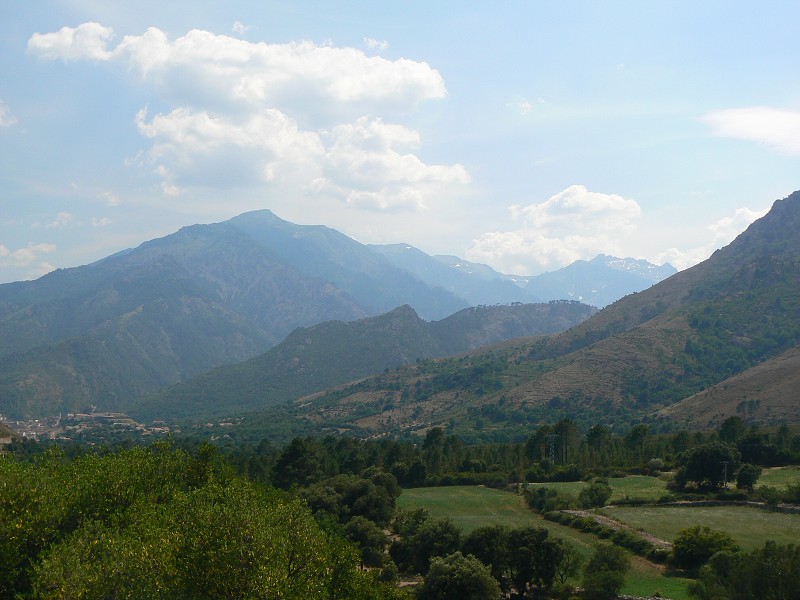 P1000758.jpg