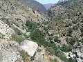 thn_P1000745.jpg