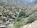 thn_P1000746.jpg