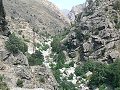 thn_P1000748.jpg