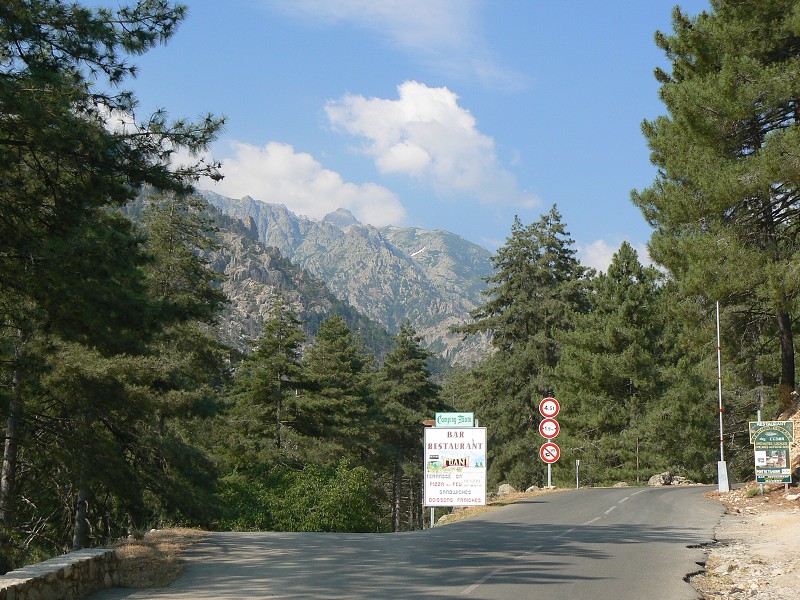 P1000761.jpg