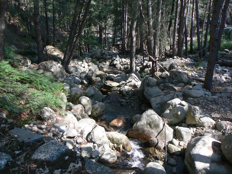 P1000765.jpg