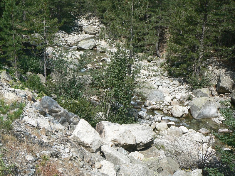 P1000766.jpg