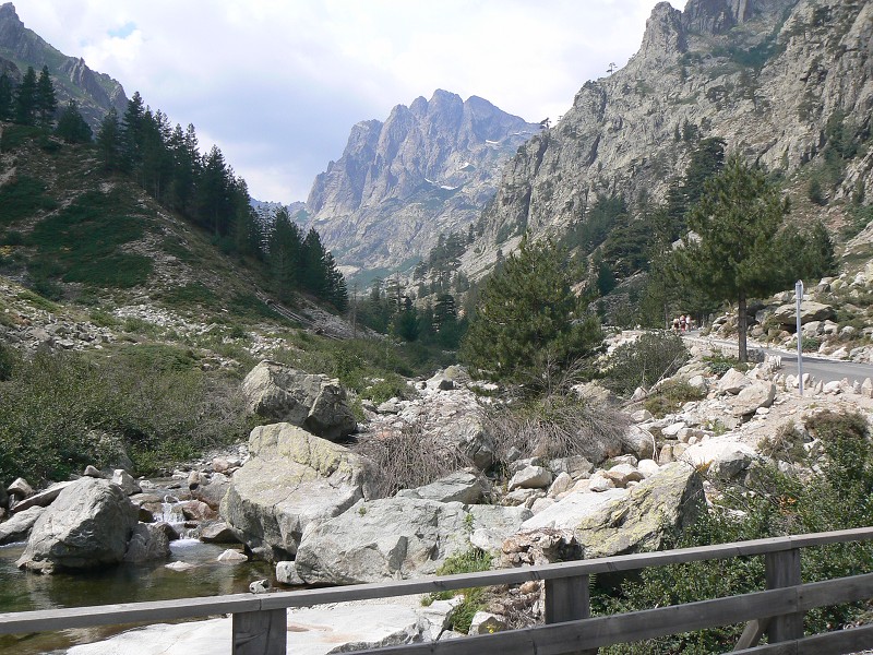 P1000769.jpg
